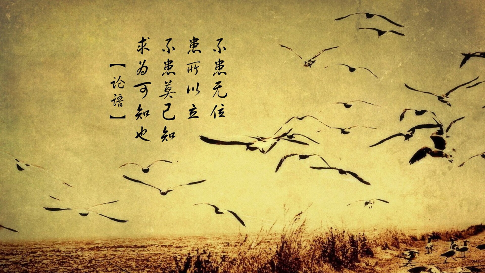 德国在巴黎奥运会上获得33枚奖牌,排名第10,德国奥运会金牌最多是哪一届