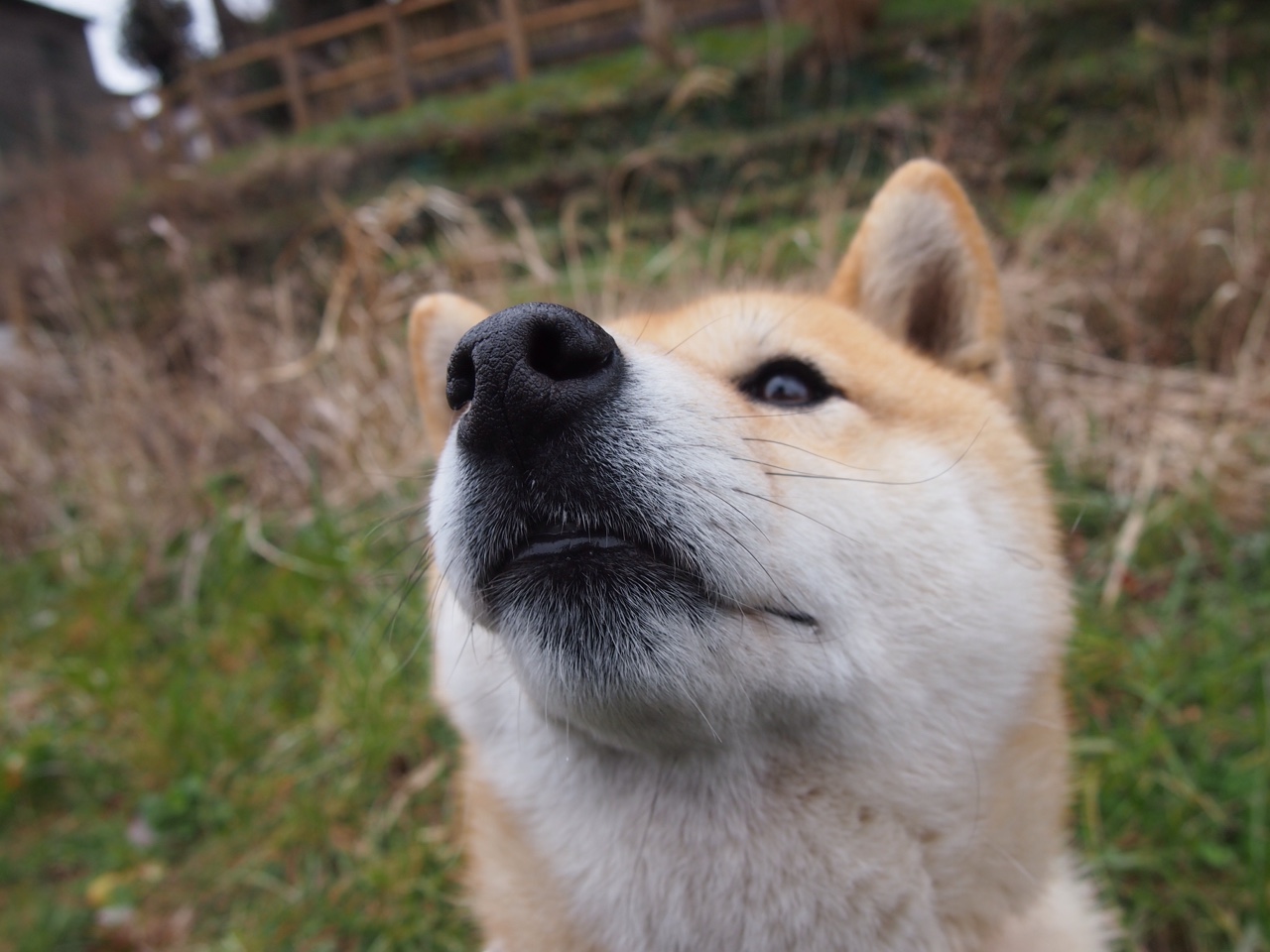 kaiyun中国官方网站-全国足球青训项目推动基层足球发展，中国足球青训改革