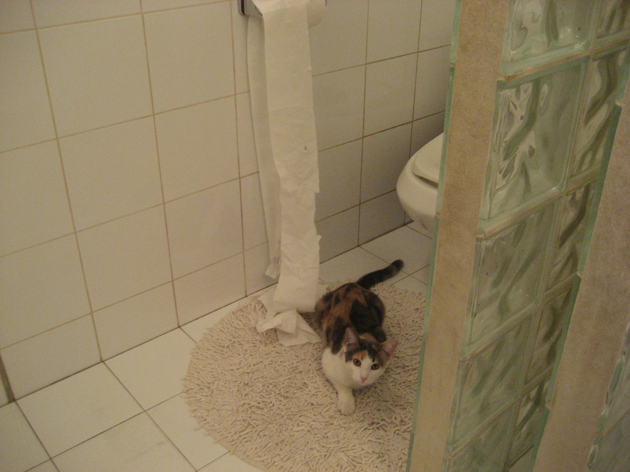 开云体育-史上最年轻的“欧洲最佳射手”首次亮相欧冠，欧洲最年轻mvp