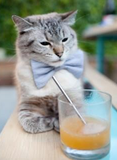 女子篮球国际邀请赛中国队夺冠，展现实力，女子篮球联赛中国队