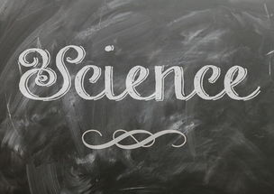 kaiyun官方网站-麦考领袖风范：全黑队胜利的灵魂人物，麦考3个总冠军